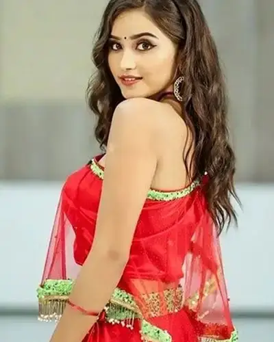 Call Girls Service Sankarankoil
